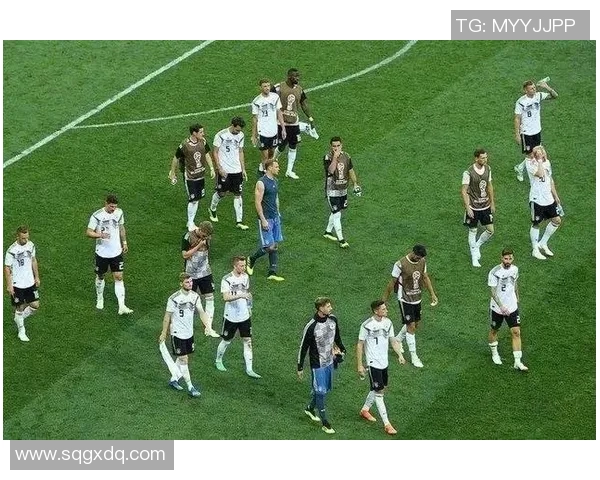 足球世界杯外围赛关键球队表现回顾