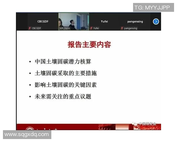 羽毛球赛事裁判判罚标准与公平性探讨及其对比赛公正性的影响分析 羽毛球赛事裁判判罚标准与公平性探讨及其对比赛公正性的影响分析
